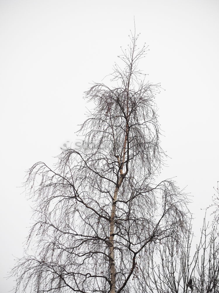 Similar – Licht aus Farbfoto