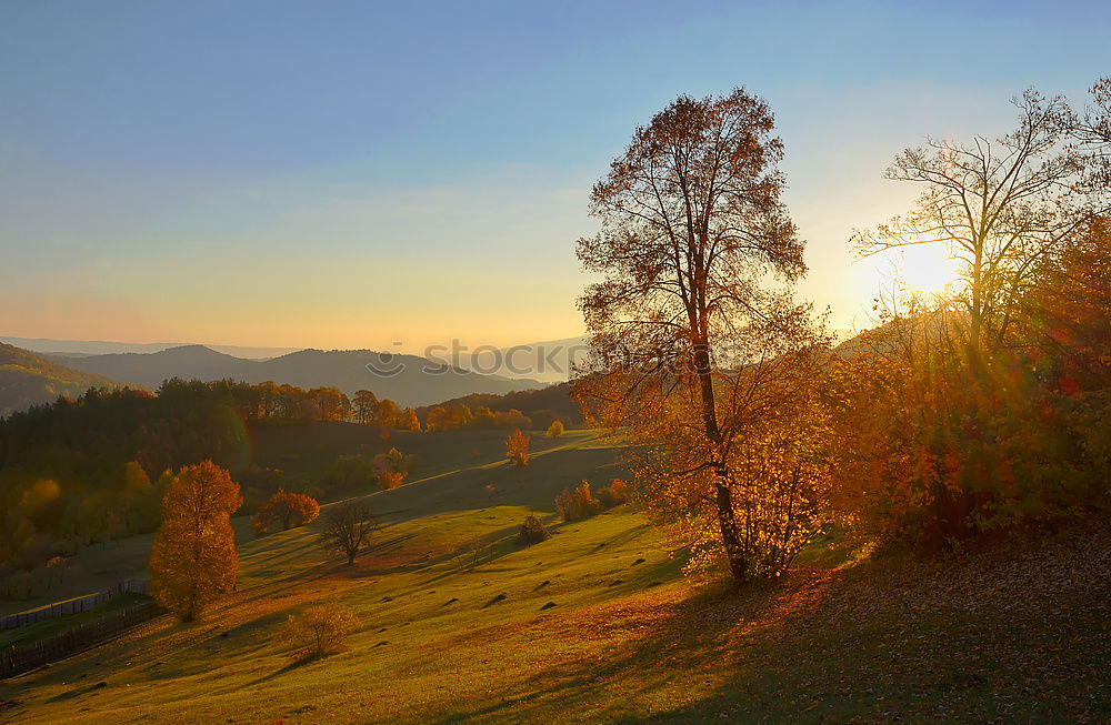 Similar – Image, Stock Photo Lone tree in autumn mountains