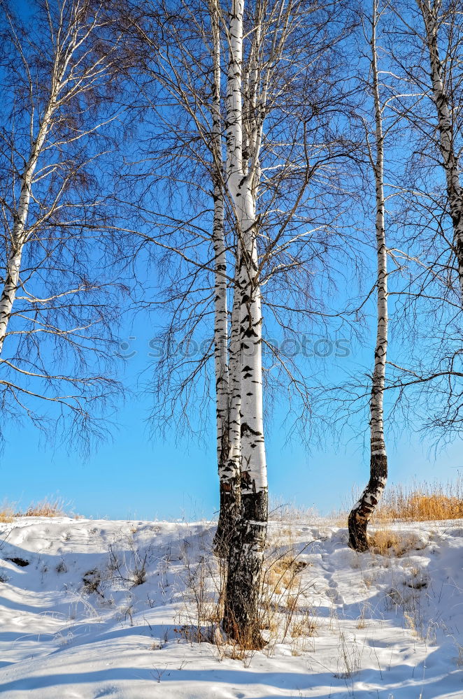 Similar – landscape Panorama (View)