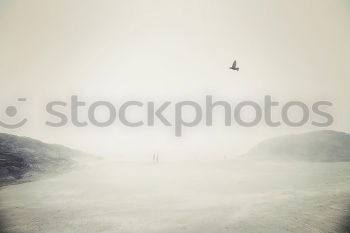 Similar – Image, Stock Photo terraces Agriculture