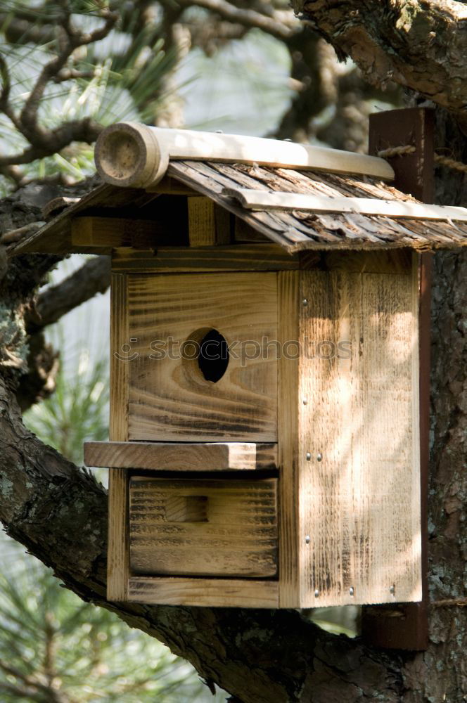 Similar – Image, Stock Photo bird house