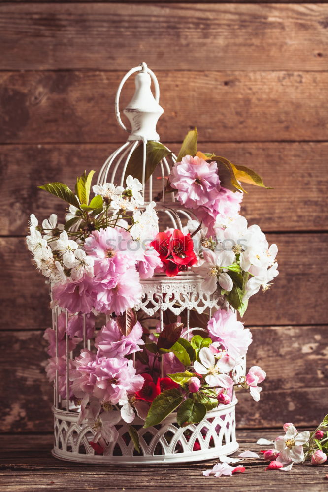 Similar – Old scissors and bunch of flowers