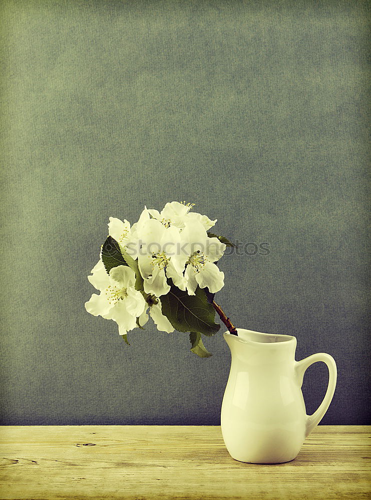 Similar – Image, Stock Photo Still Life Purple Berries