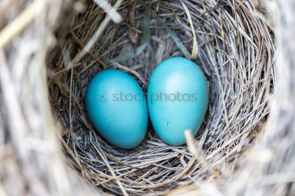 Similar – Image, Stock Photo Sometimes it just doesn’t work out.