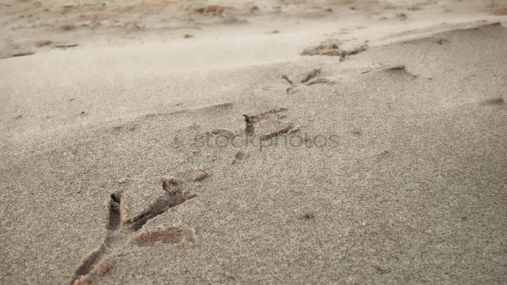 Similar – Image, Stock Photo Clean work Village Metal