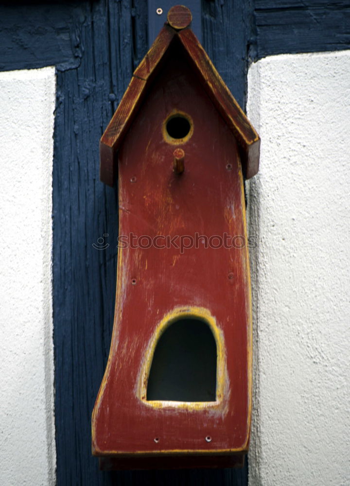 Similar – Image, Stock Photo Eurasian blue tit (Cyanistes caeruleus) and DIY nest box