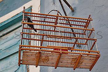 Similar – Foto Bild Keep out! Meer Strandkorb