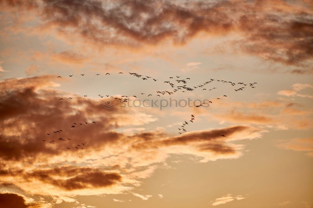 Similar – low-altitude flight