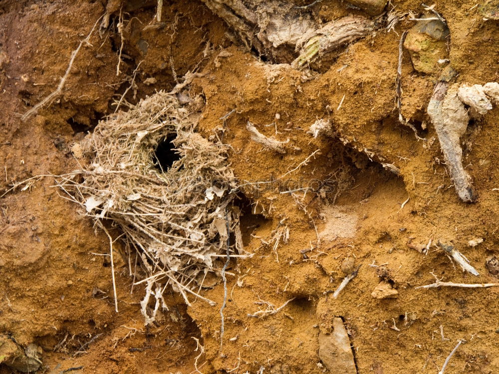 Similar – flotsam and jetsam Rope