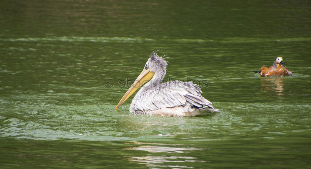 Similar – Foto Bild Familienausflug