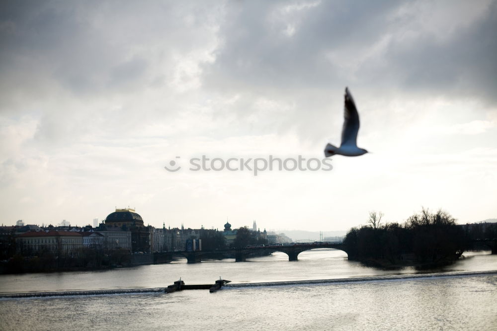 Similar – smog in the Golden City of Prague