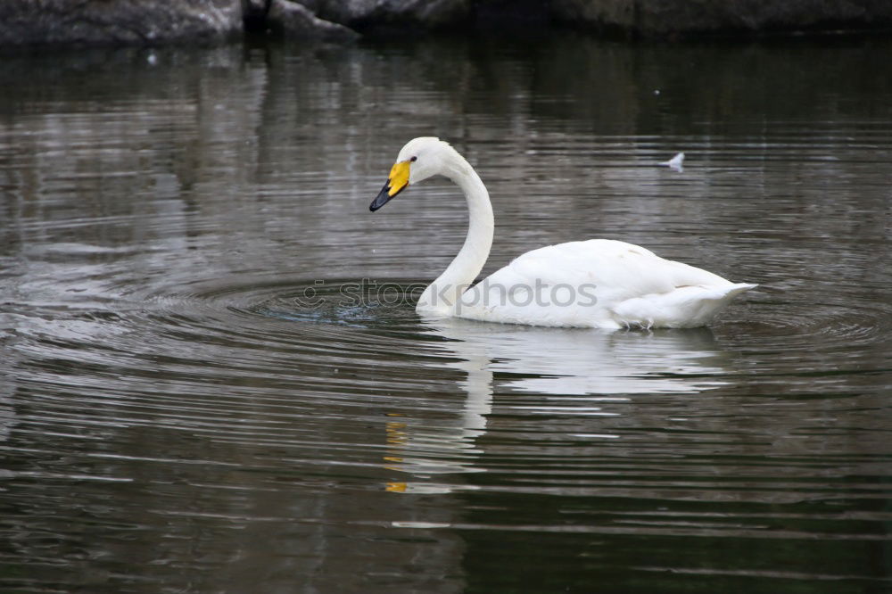 Similar – familienausflug Umwelt