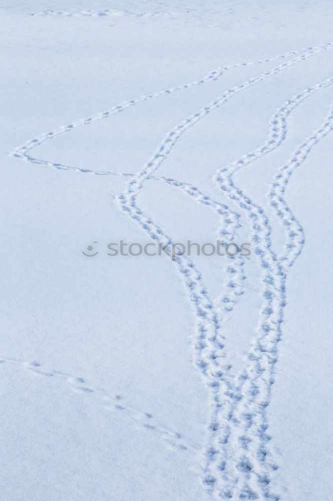 Similar – Image, Stock Photo Sandspiel. Environment