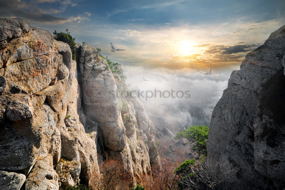 Similar – Image, Stock Photo Rocky landscape, flooded with sunlight