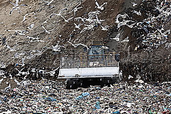 Similar – Image, Stock Photo New Year Trash Explode