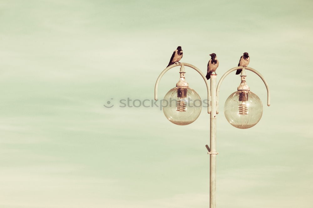 Similar – Image, Stock Photo strip lamp Lamp