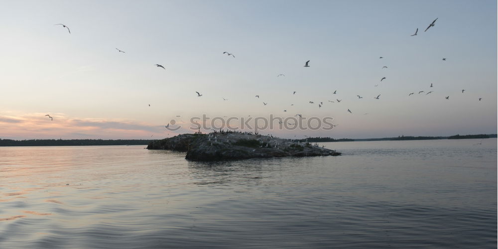 Similar – Image, Stock Photo San Francisco Idyll Water