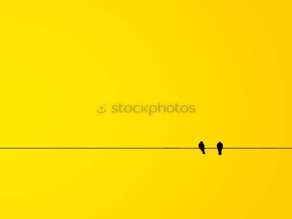 Similar – Image, Stock Photo Man jumping near yellow wall