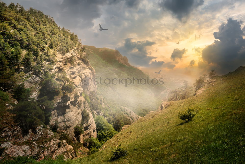 Similar – Image, Stock Photo Alpine summit with clouds