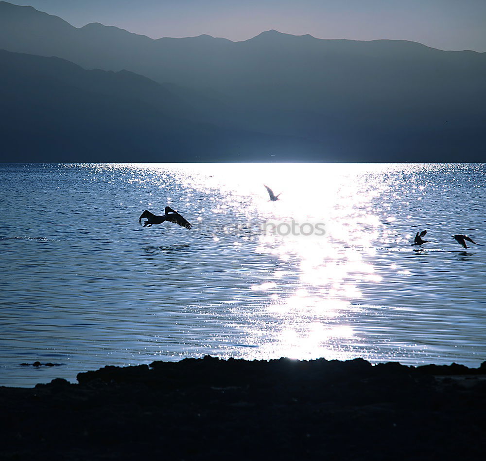 Similar – egyypte Watercraft Lake