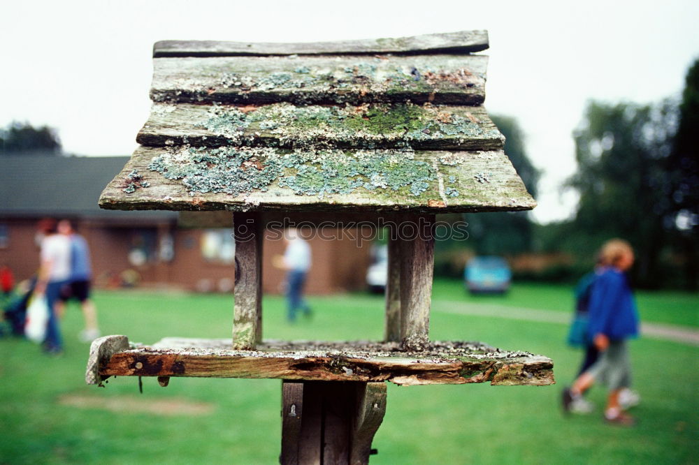 Similar – Homemade birdhouse for the winter made of old grey wood at the edge of the forest on a farm in Rudersau near Rottenbuch in the district of Weilheim-Schongau in Upper Bavaria