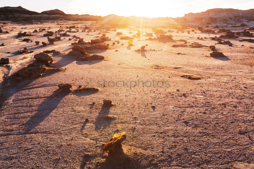 Similar – Image, Stock Photo Algarve III Nature