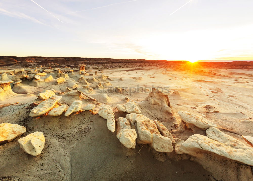 Similar – erosion Nature Landscape