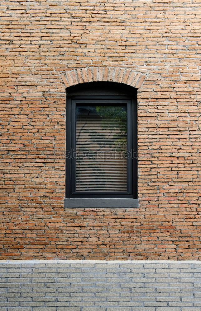 Similar – Foto Bild Fenster auf Kippe Blume