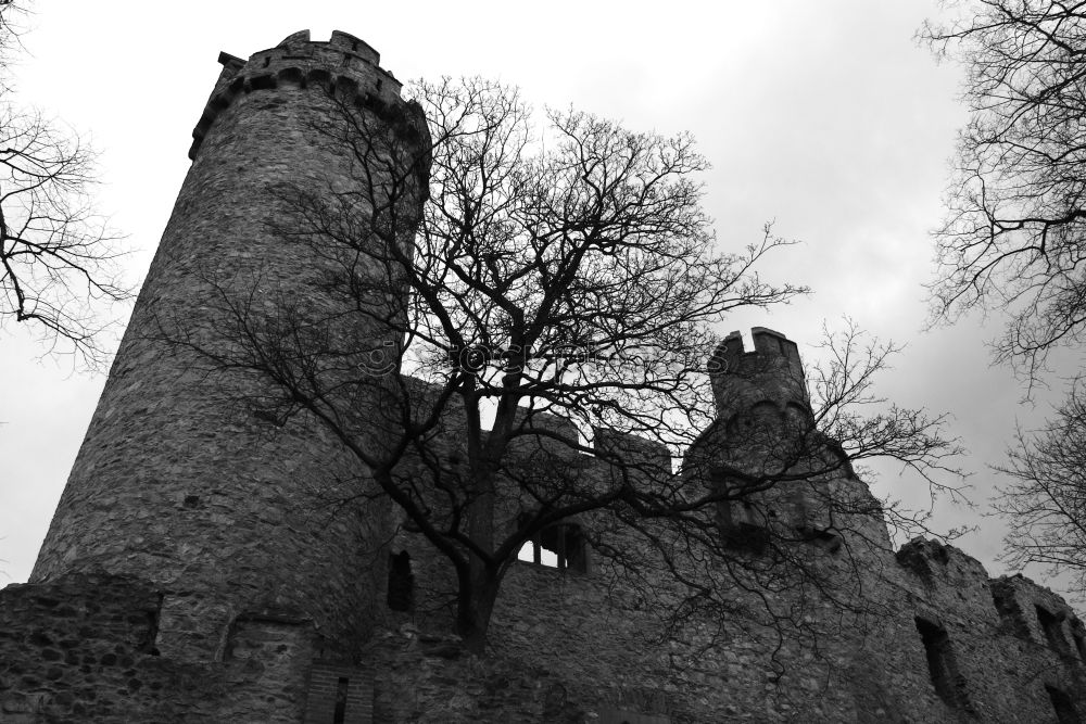 Similar – Image, Stock Photo …eerily beautiful Ruin