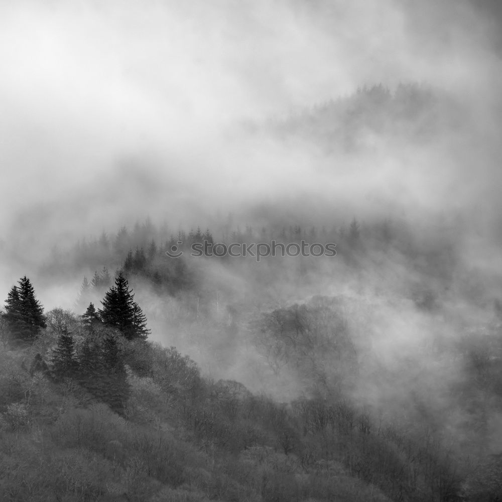 Similar – Image, Stock Photo Mountains, forest and fog IV