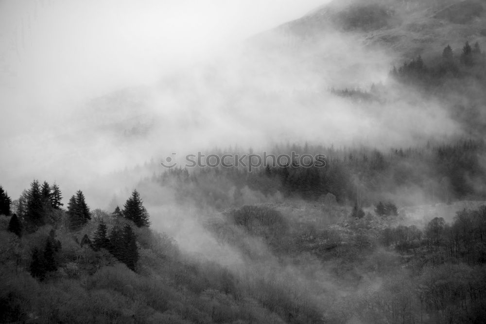 Similar – Mountains, forest and fog III