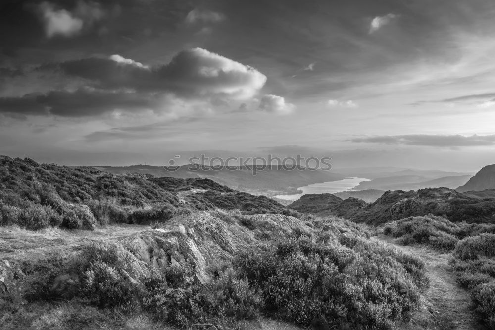 Similar – Image, Stock Photo Wonderful view into the Eng-Land