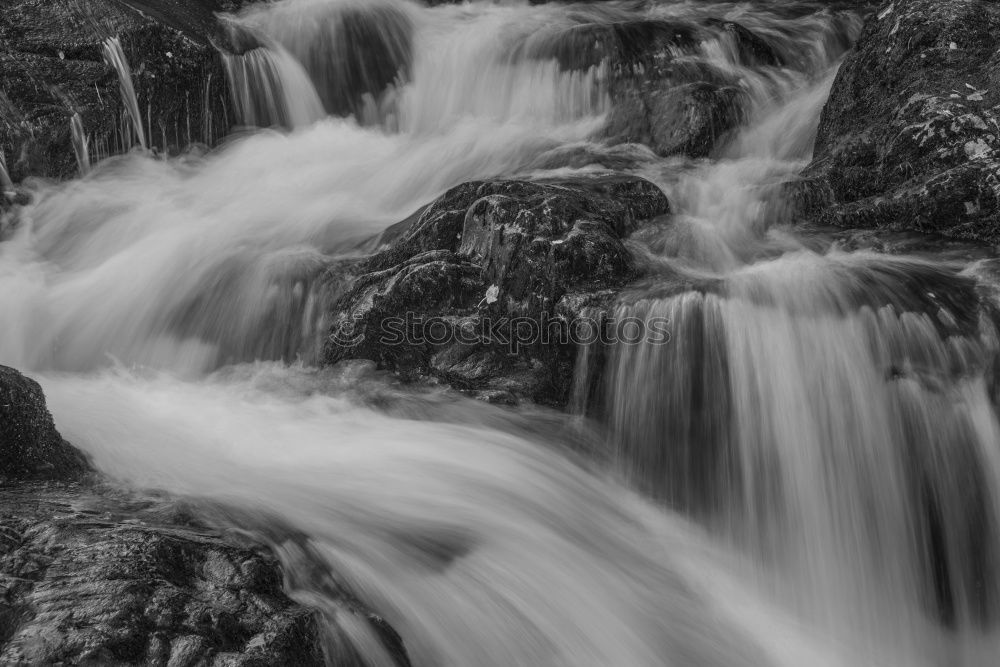 Similar – Image, Stock Photo brook Freedom Environment