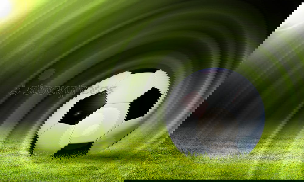 Similar – Image, Stock Photo football or handball playground. Gate net