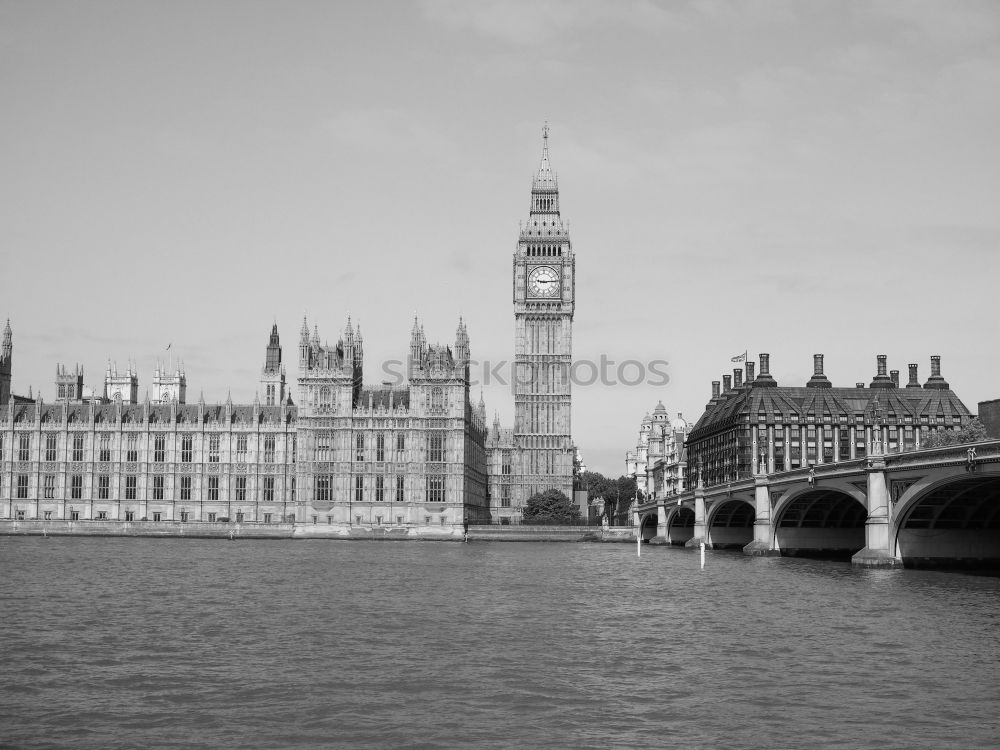 Similar – Seagull at Big Ben