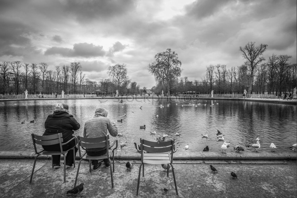 Similar – swans Water Storm clouds