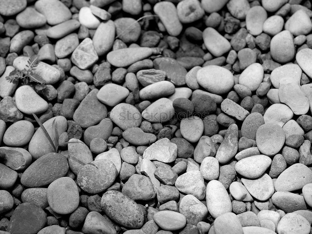 Similar – stones Pebble Gravel Beach