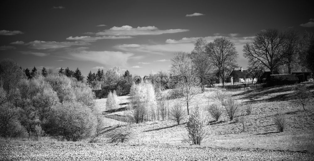 Similar – Foto Bild Vorsicht! Kurve! Baum