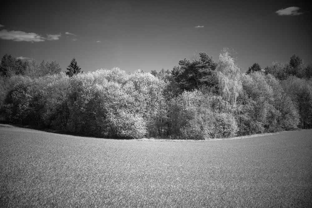 Similar – Zimmer mit Aussicht Umwelt