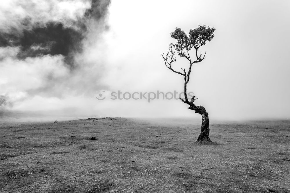 Image, Stock Photo At the foot of Bromo