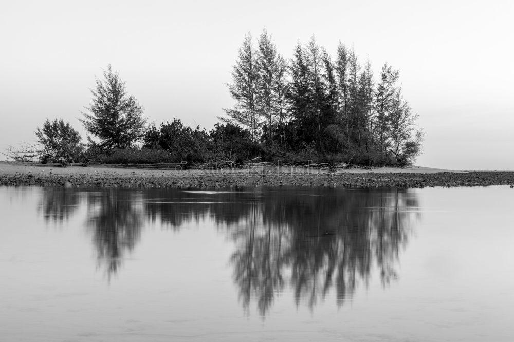 Similar – Foto Bild Drei Haselnüsse für Aschenbrödel