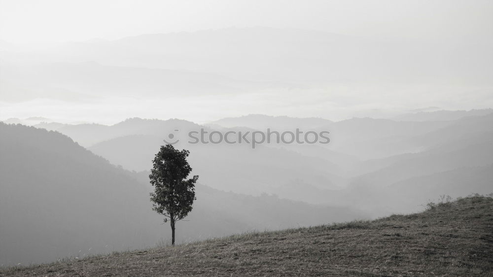 Similar – Foto Bild trübe Aussichten Umwelt