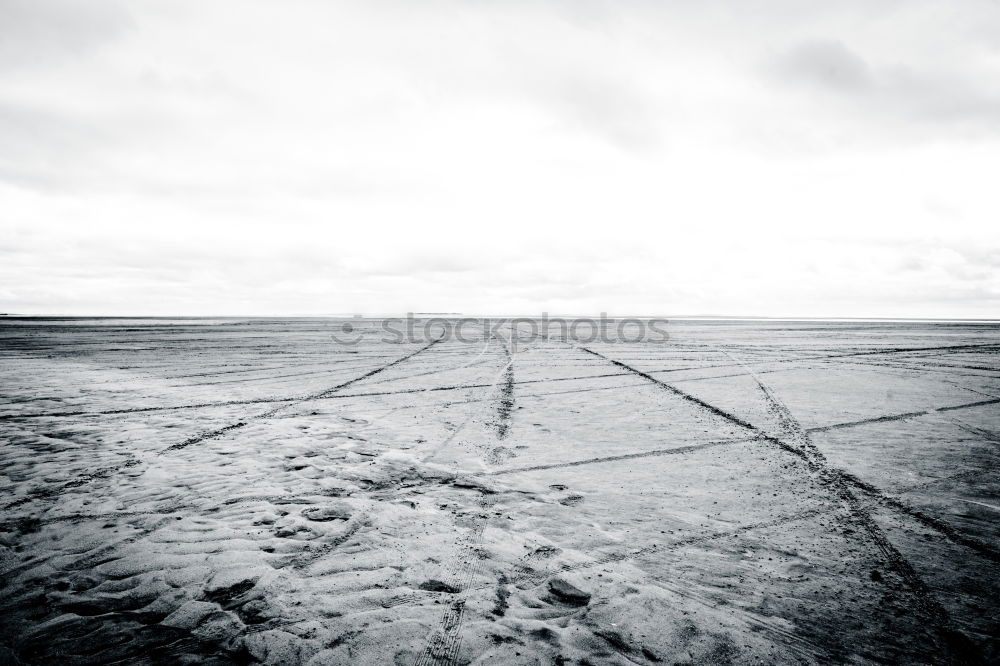 Similar – Image, Stock Photo Noise protection and tyre tracks Burnout