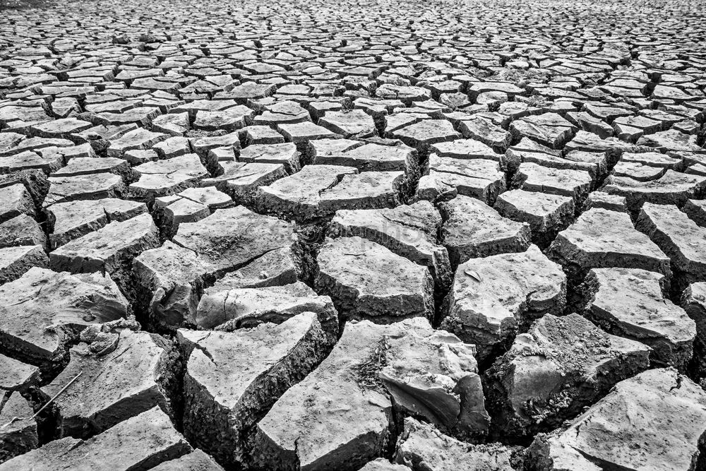 Similar – Dry And Dirty Drought