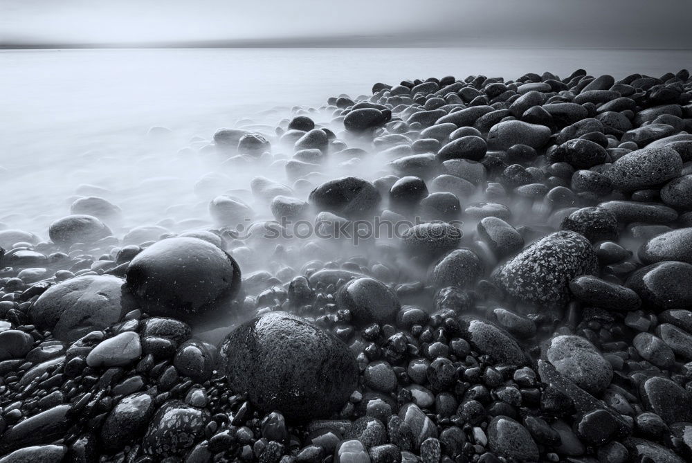 Similar – Image, Stock Photo Driftwood on the coast of the Baltic Sea