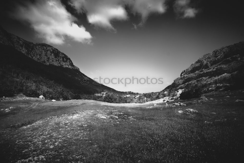 Similar – Image, Stock Photo norge Nature Landscape