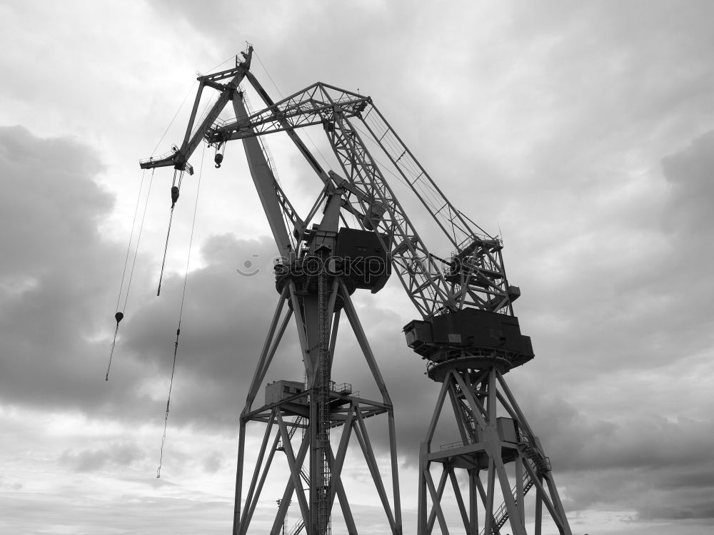 Similar – fish market Crane Seagull