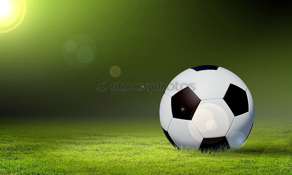 Similar – Image, Stock Photo Football in the garden