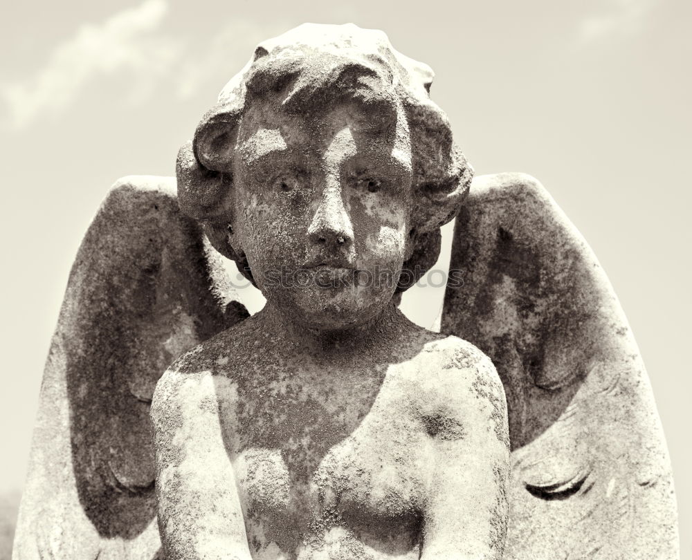 Similar – angel ll Angelrute Statue