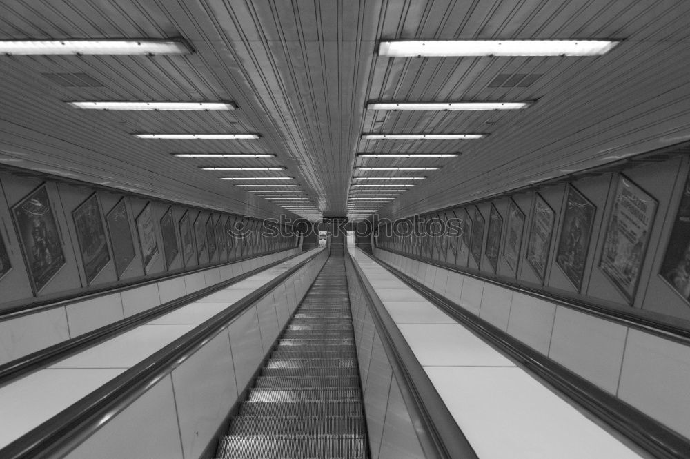 Similar – Image, Stock Photo Man in the light under a bridge